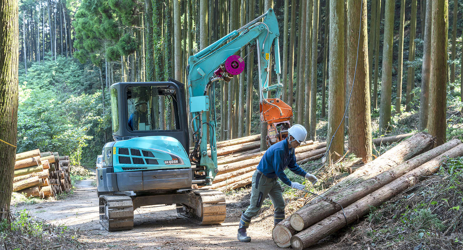 合法木材供給事業者に認定されています